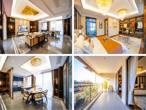 2021年上半年产品力 ▏长沙品质入围项目 路演报告 4 6 罗势项目