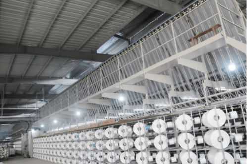 重大项目建设进行时 罗势项目加速推进，谱写发展新篇章